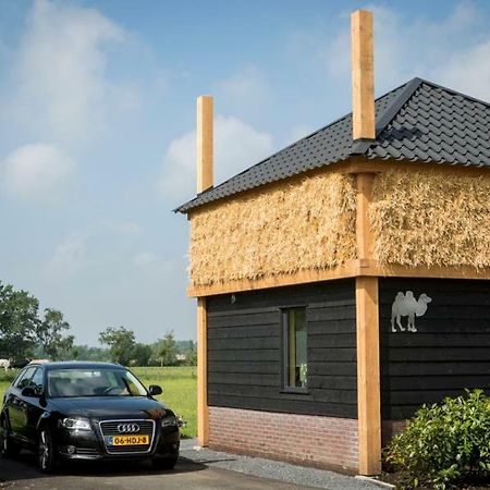 Camping Nieuw Romalo 福尔特赫伊曾 外观 照片