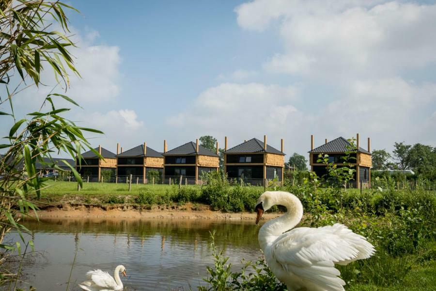 Camping Nieuw Romalo 福尔特赫伊曾 外观 照片